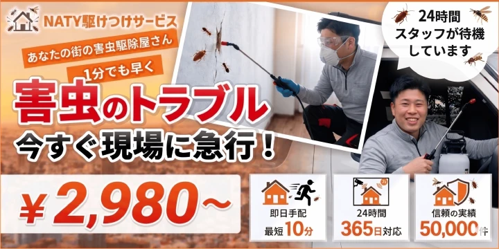 NATY株式会社