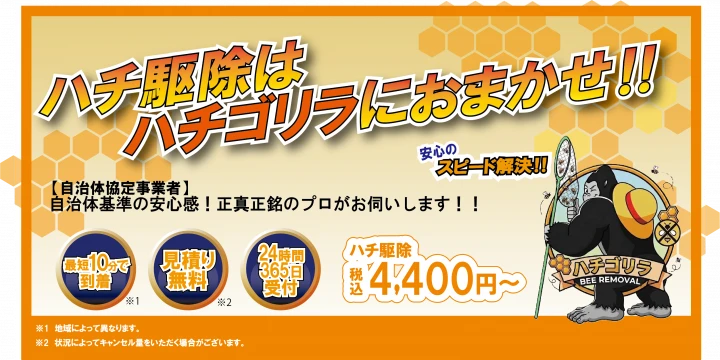 ハチゴリラ