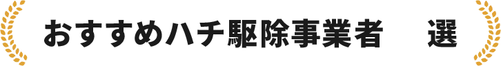 おすすめハチ駆除事業者