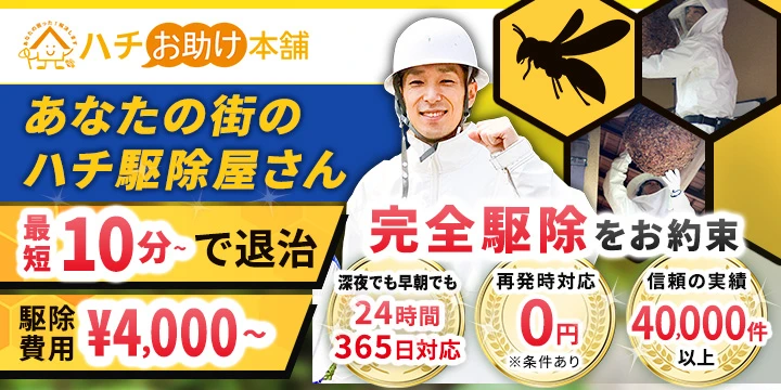 ハチお助け本舗