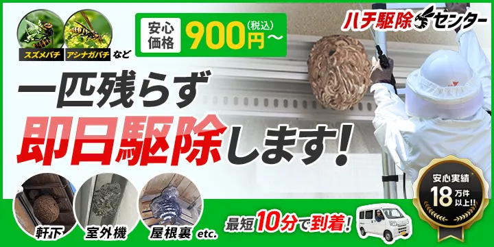 ハチ駆除センター