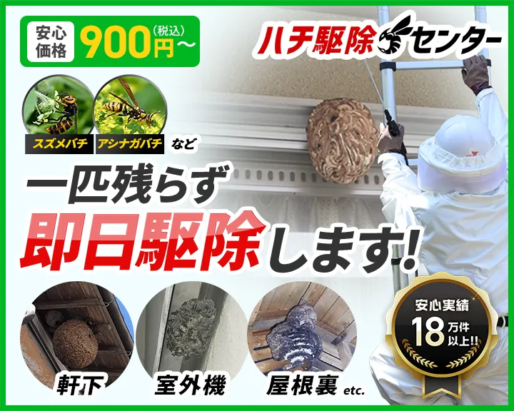 ハチ駆除センター