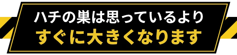 ハチの巣は思っているよりすぐに大きくなります